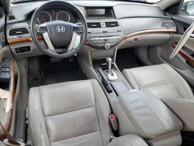 2011 Honda Accord EXL