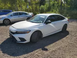 Salvage cars for sale at Cookstown, ON auction: 2023 Honda Civic Sport