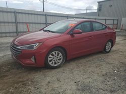 Salvage cars for sale at Jacksonville, FL auction: 2019 Hyundai Elantra SE