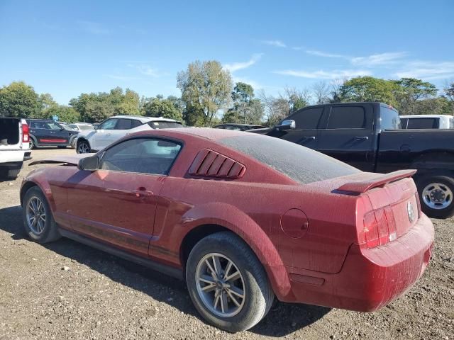 2005 Ford Mustang