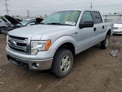 Ford salvage cars for sale: 2013 Ford F150 Supercrew