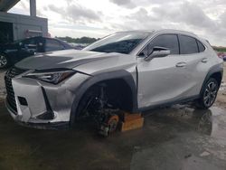 Lexus salvage cars for sale: 2019 Lexus UX 200