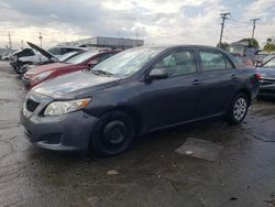 Salvage cars for sale from Copart Chicago Heights, IL: 2010 Toyota Corolla Base