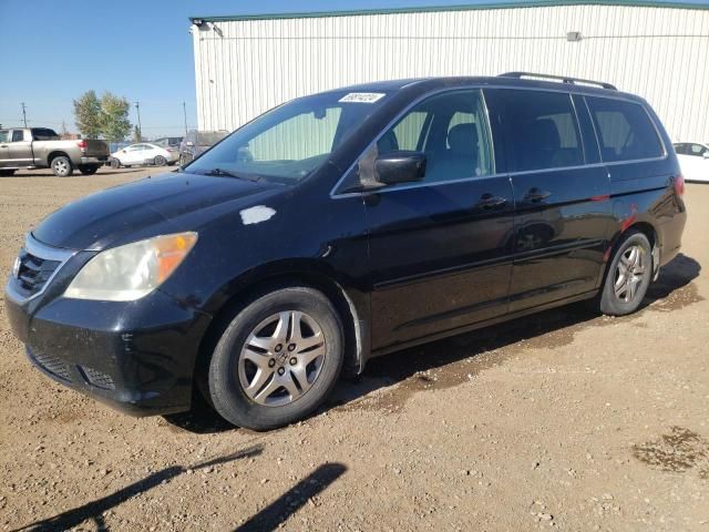 2008 Honda Odyssey EXL