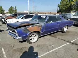 Salvage cars for sale at Rancho Cucamonga, CA auction: 1965 Pontiac GTO