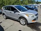 2014 Ford Escape S