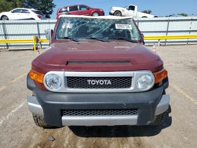 2008 Toyota FJ Cruiser