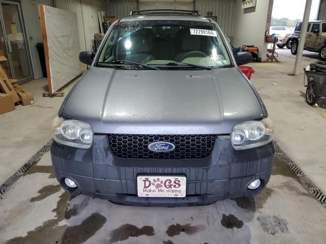 2007 Ford Escape XLT