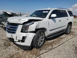 Salvage cars for sale at Magna, UT auction: 2016 Cadillac Escalade Luxury