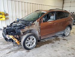 Salvage cars for sale at Abilene, TX auction: 2017 Ford Escape SE