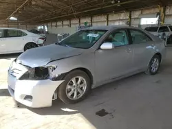 Salvage cars for sale at auction: 2010 Toyota Camry Base