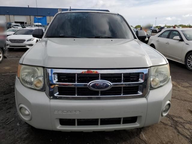 2008 Ford Escape XLT