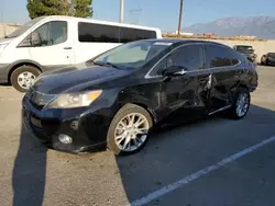 Lexus salvage cars for sale: 2010 Lexus HS 250H