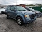 2010 Ford Escape XLS