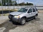 2004 Ford Escape XLT