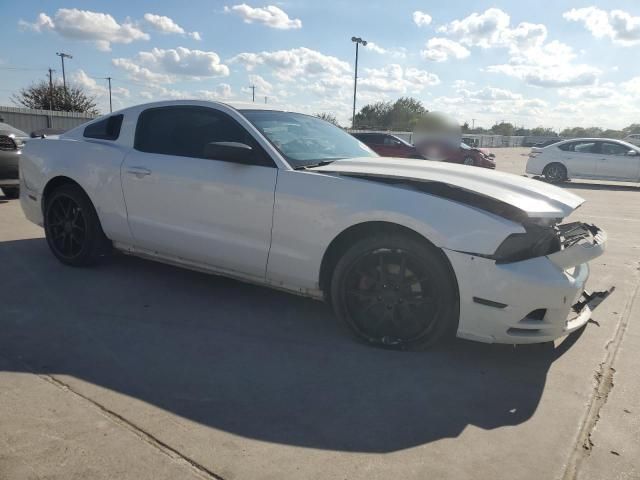 2014 Ford Mustang