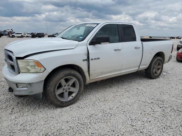 2010 Dodge RAM 1500