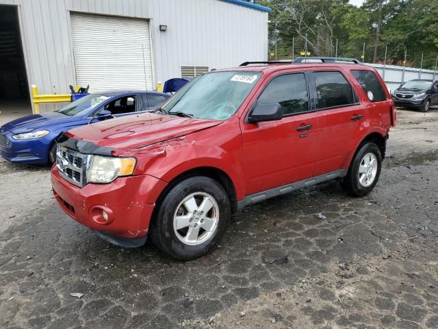 2011 Ford Escape XLT