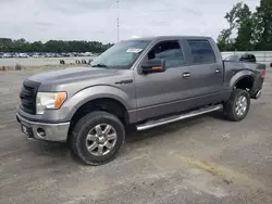 Salvage trucks for sale at Dunn, NC auction: 2013 Ford F150 Supercrew