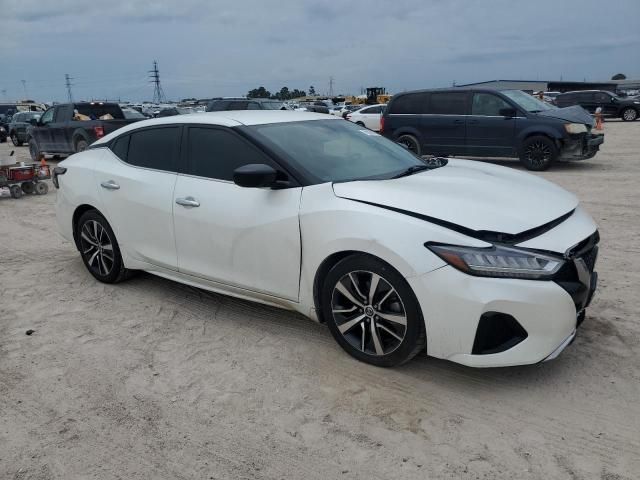 2019 Nissan Maxima S