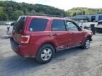 2008 Ford Escape XLT