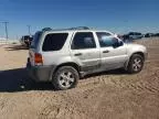 2006 Ford Escape XLT