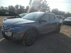 Salvage cars for sale from Copart Baltimore, MD: 2024 Hyundai Santa Cruz SEL