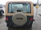 1994 Jeep Wrangler / YJ S