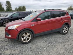 2013 Ford Escape SE en venta en Arlington, WA