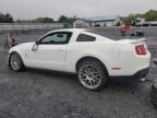 2012 Ford Mustang Shelby GT500