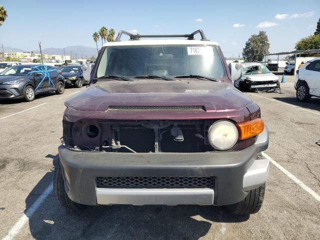 2007 Toyota FJ Cruiser