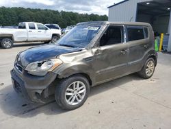 Salvage cars for sale at Florence, MS auction: 2013 KIA Soul +