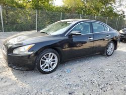 Salvage cars for sale at auction: 2010 Nissan Maxima S