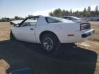 1988 Pontiac Firebird