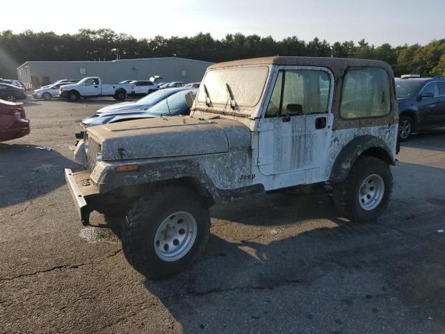 1992 Jeep Wrangler / YJ