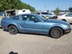 2005 Ford Mustang