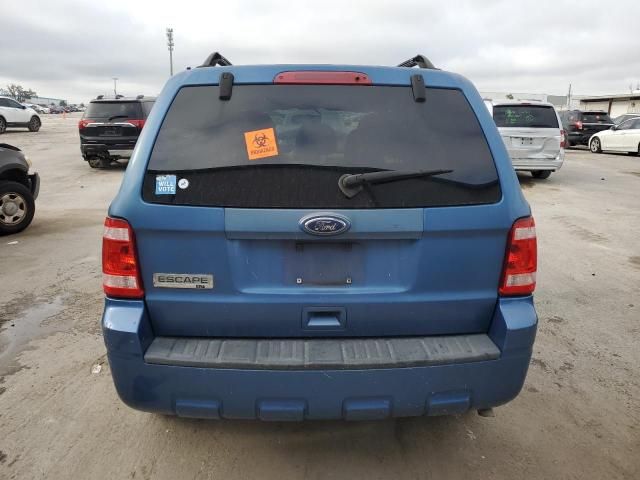 2010 Ford Escape XLT