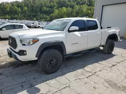 Salvage cars for sale at Hurricane, WV auction: 2020 Toyota Tacoma Double Cab