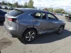 2019 Lexus NX 300H