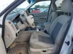 2008 Ford Escape HEV