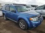 2009 Ford Escape XLT