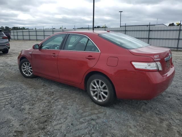 2010 Toyota Camry Hybrid