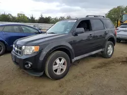 Salvage cars for sale at Windsor, NJ auction: 2011 Ford Escape XLT