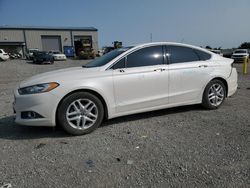 Salvage cars for sale at Earlington, KY auction: 2013 Ford Fusion SE