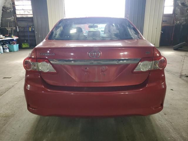 2011 Toyota Corolla Base