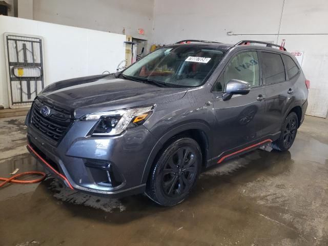 2024 Subaru Forester Sport