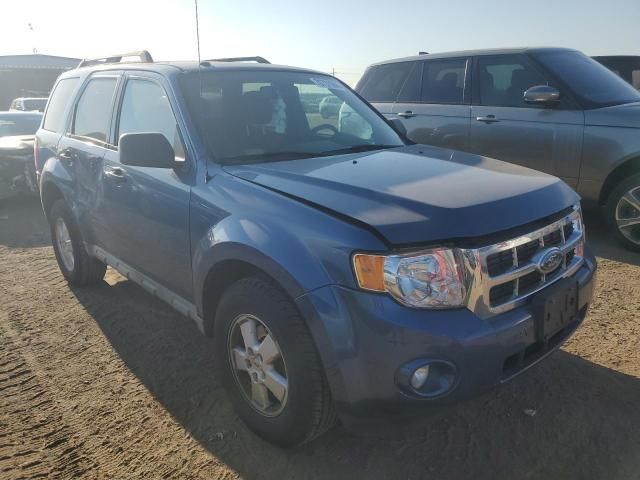 2009 Ford Escape XLT