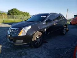 Salvage cars for sale at Chambersburg, PA auction: 2016 Cadillac SRX Luxury Collection