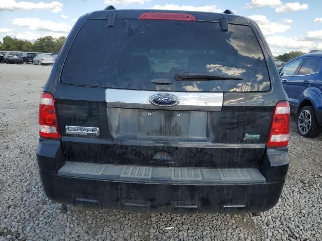 2011 Ford Escape Limited