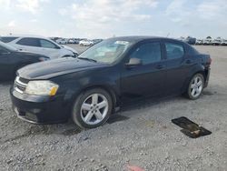 Salvage cars for sale at Earlington, KY auction: 2013 Dodge Avenger SE